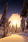Schnee bedeckte Bäume und Landschaft bei Sonnenuntergang, Coast Mountains in British Columbia, Kanada