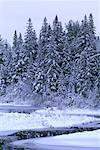 Forêts et cours d'eau en hiver, le Parc Provincial Algonquin, Ontario, Canada
