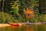 Canoë sur la plage au lac Opeongo en automne du Parc Provincial Algonquin (Ontario), Canada