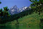 Lac, les arbres et les montagnes du Parc National Grand Teton, Wyoming, USA
