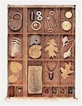 Feathers, Leaves, Pinecones Shells, Beetles, Keys, Gears Padlock, and Pocket Watch in Compartment Box