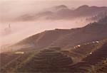 Overview of Terraced Rice Paddies In Fog, Longsheng Guangxi Region, China