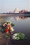 People Cleaning Vegetables in Shore near Taj Mahal Agra, India