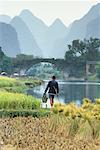 Vue arrière du homme marchant sur la rive près du pont de Dragon près de Guilin, Chine