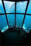 Vue arrière du regarder les poissons au Monterey Bay Aquarium Monterey, California, USA