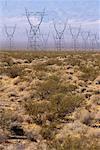 Lignes d'énergie électrique haute Tension et désert Arizona, USA