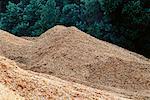 Wood Chips for Pulp and Paper Manufacturing