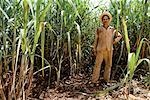 Portrait de l'agriculteur de canne à sucre à Cuba de champ