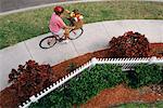 Overhead View of Mature Woman Riding Bike with Bags of Groceries