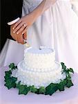 Close-Up of Bride and Groom Cutting Wedding Cake