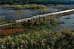 Train traversant le Everglades en Floride, USA