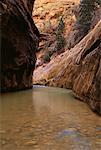 Virgin River Zion National Park Utah, USA