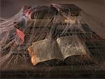Livres anciens couverts de toiles d'araignée