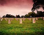 Drapeaux de pierres tombales au cimetière des anciens combattants en Californie, Etats-Unis d'Amérique