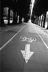 Piste cyclable à travers les arbres, Paris, France