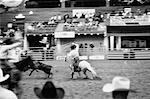 Rodeo Texas, USA