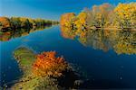 Kennebecasis River in Autumn