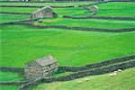 Maisons sur des terres agricoles Swaledale, Yorkshire, Angleterre