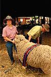 People Grooming Sheep Lilydale Agricultural Show Australia