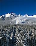 Mont Alan Kananaskis Country (Alberta), Canada