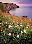 Coastline at Dusk Ile du Havre Aubert Iles de la Madeleine, Quebec Canada