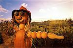 Pumpkin Scarecrow