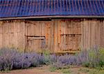 Abandoned Barn Near Neuville Quebec, Canada