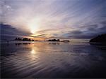 Beach Near Tofino at Dusk Vancouver Island British Columbia, Canada