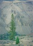 Farwell Canyon, Chilcotin en Colombie-Britannique, Canada