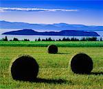 Hay Bales in Field St Lawrence River, Quebec Canada