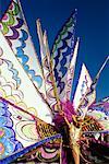 Ailes de beauté et de vie Costume carnaval