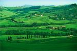 Countryside Tuscany, Italy