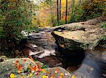 Falling Water Cascades Creek in Autumn, Blue Ridge Parkway, Virginia, USA