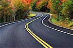 Curved Road in Autumn