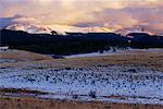 Feld und Gebirge