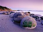 Moeraki Boulders Otago, New Zealand