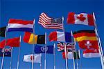 Flags at the United Nations