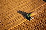 Wheat Harvest