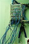 Network Cables