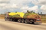 Camion de banane, Cuba