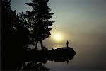 Silhouette de la personne dans le parc Algonquin