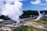 Geothermal Power Station Wariakei, New Zealand