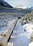 Train in Winter