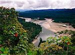 Overview of Manu River Manu, Peru