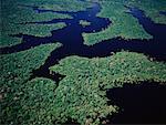 Vue aérienne de la Zone inondable de Rio Negro, Manaus, Brésil