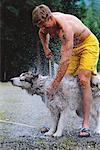 Man Washing Dog Outdoors