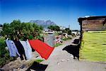 Hanging Laundry in Village Cape Town, South Africa