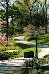 Driveway and Mailbox Atlanta, Georgia