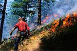Pompiers en feu de forêt