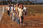 Bauernhof Arbeitnehmer Kuba